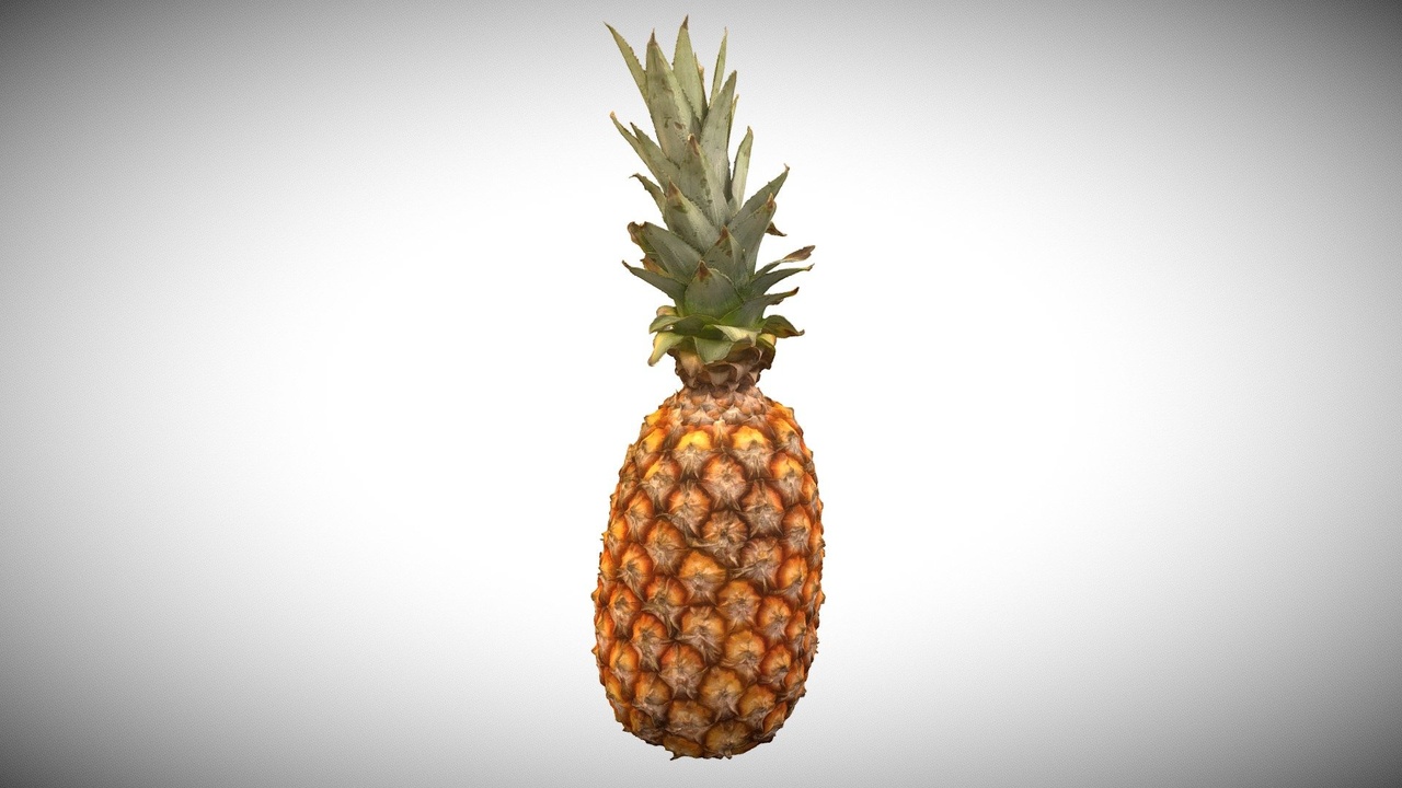 Media 1 for listing 3D Scanned Pineapple