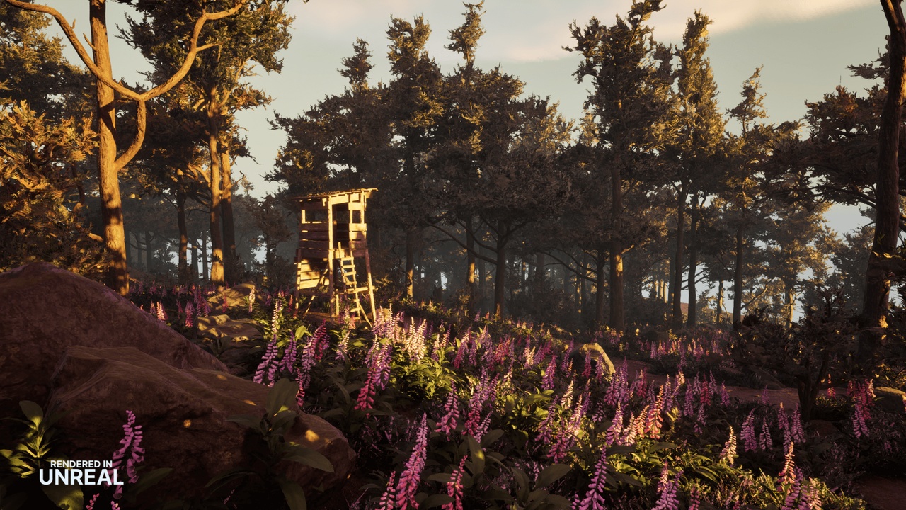 Media 1 for listing Wild Frontiers: Scots Pine Biome