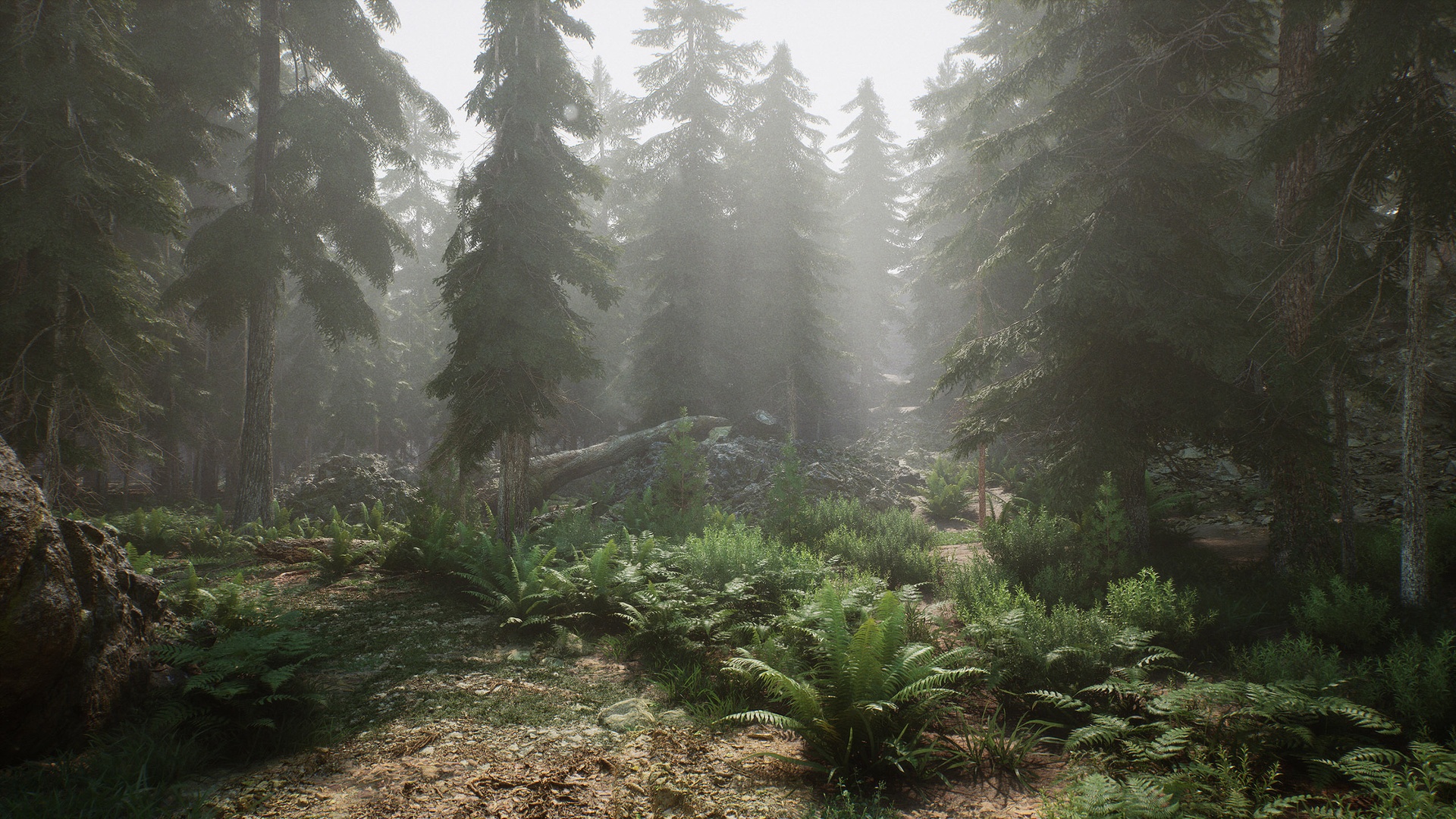 Media 1 for listing Pine Forest Pack