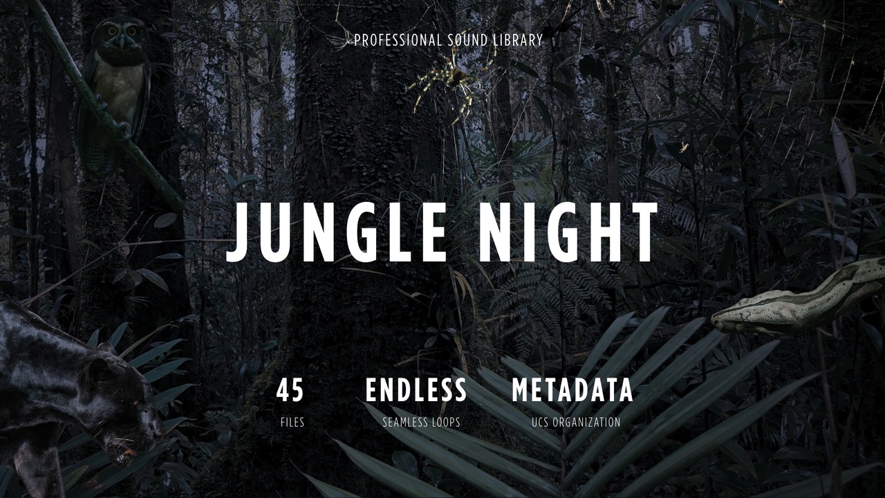 Media 1 for listing Jungle Night