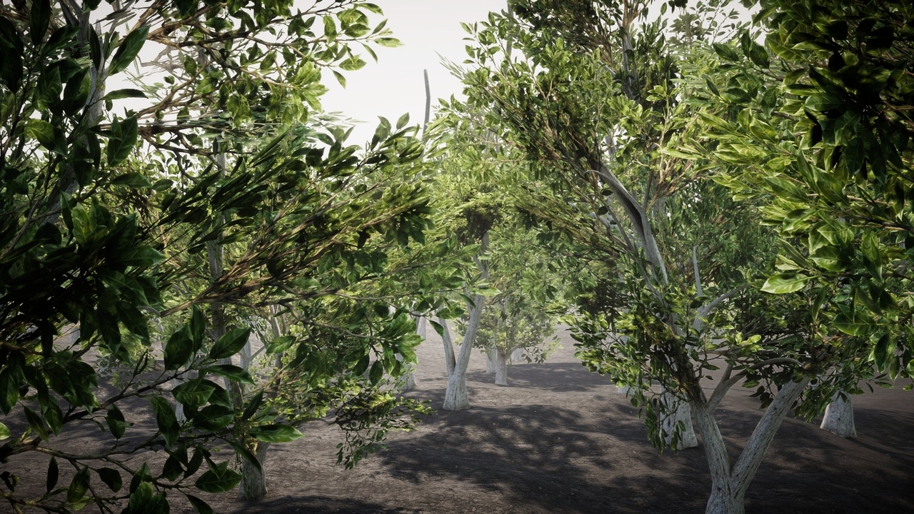 Media 1 for listing Mobile Trees Pack 73