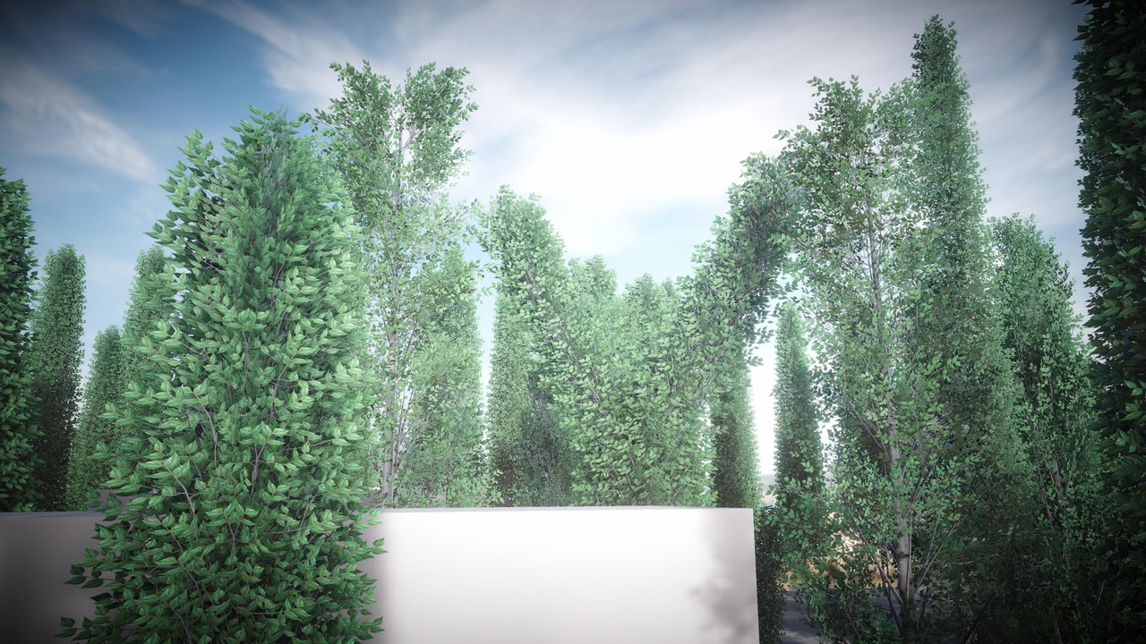Media 1 for listing Mobile Tall Tree Pack