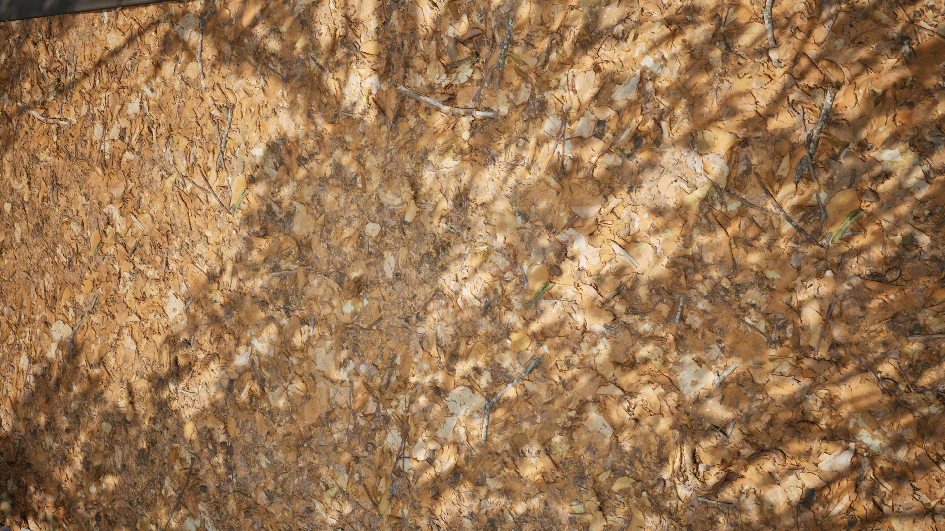 商品 Ground 01 - Scanned Photogrammetry Materials 的媒体 1