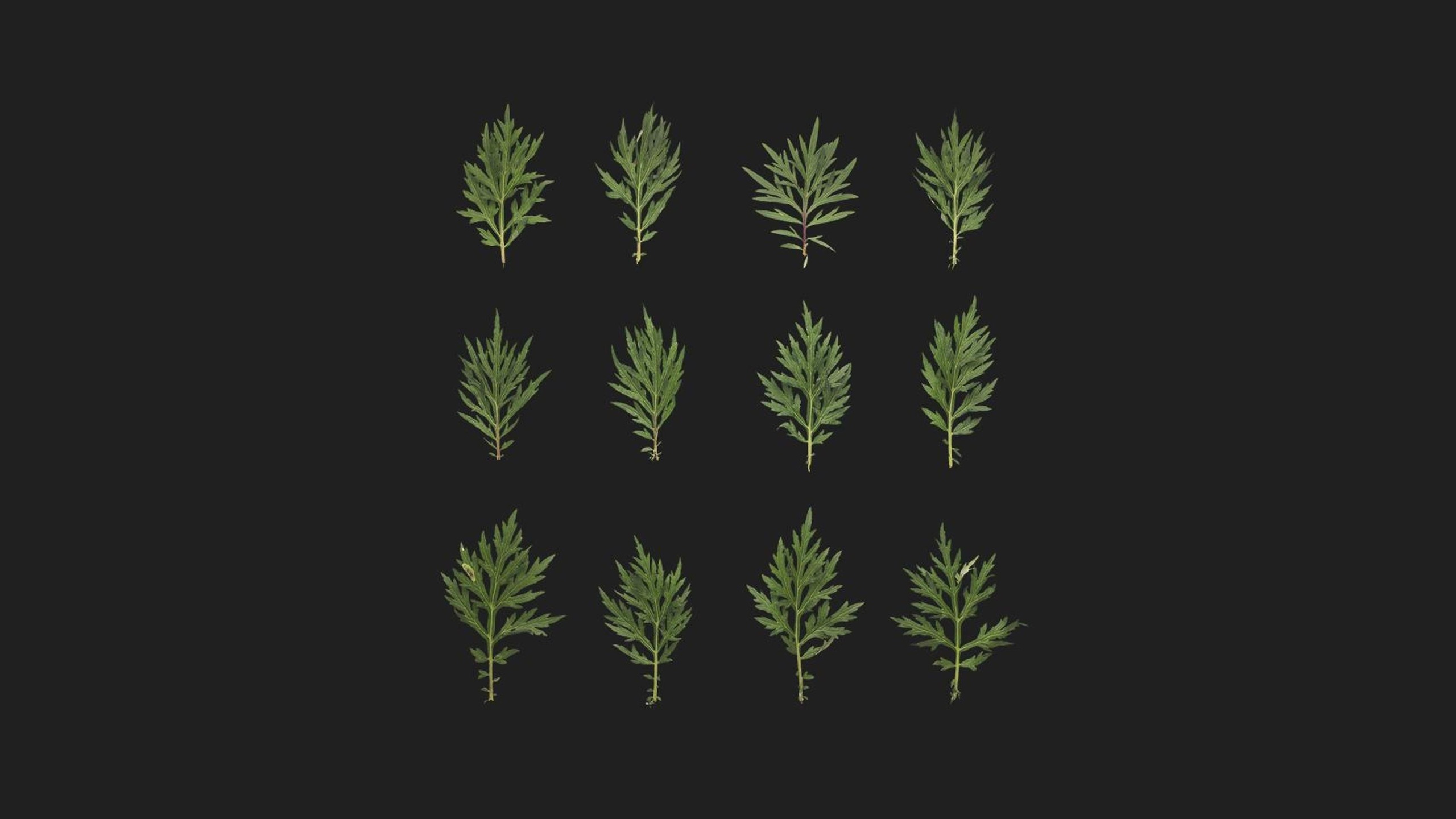 Mugwort 제품 등록을 위한 미디어 1개