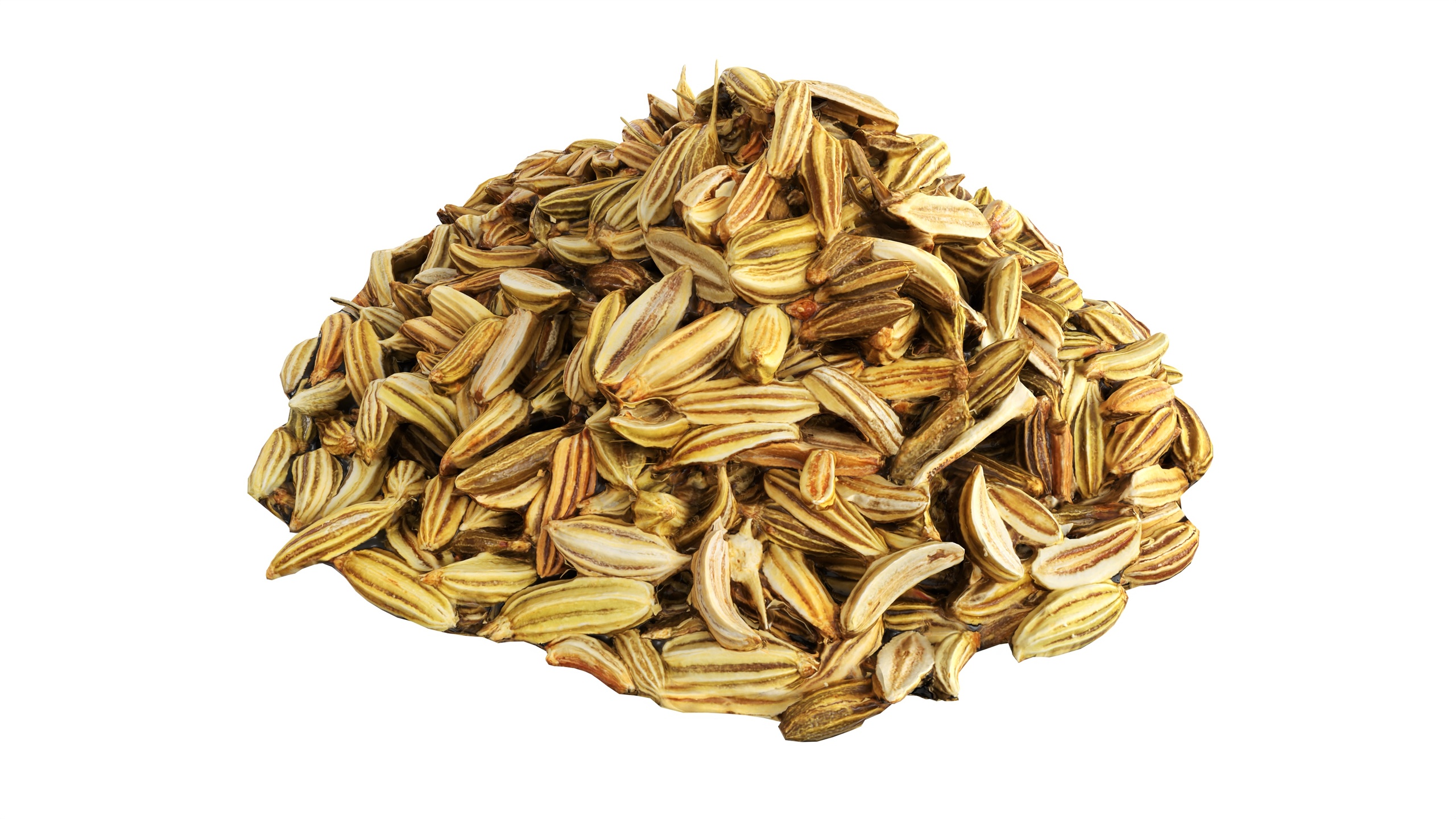 Medios 1 para el artículo Fennel seeds