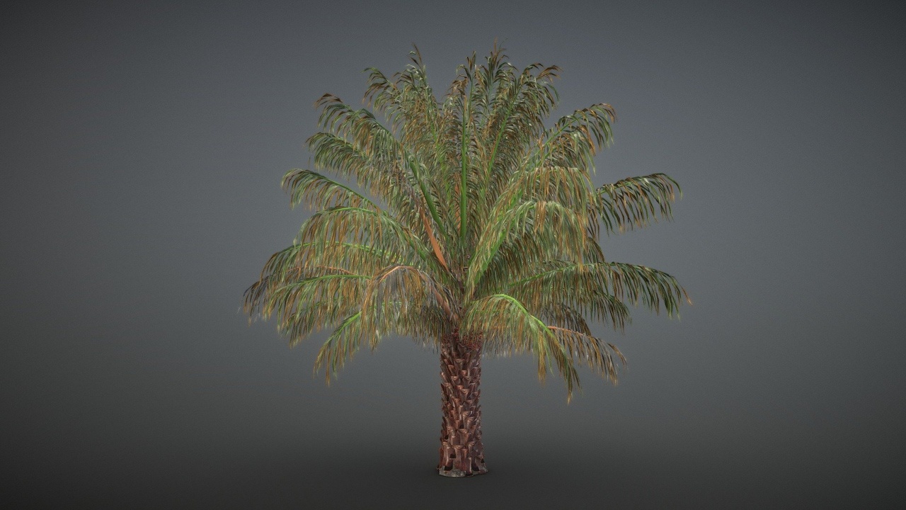 Media 1 for listing Palm Oil Tree
