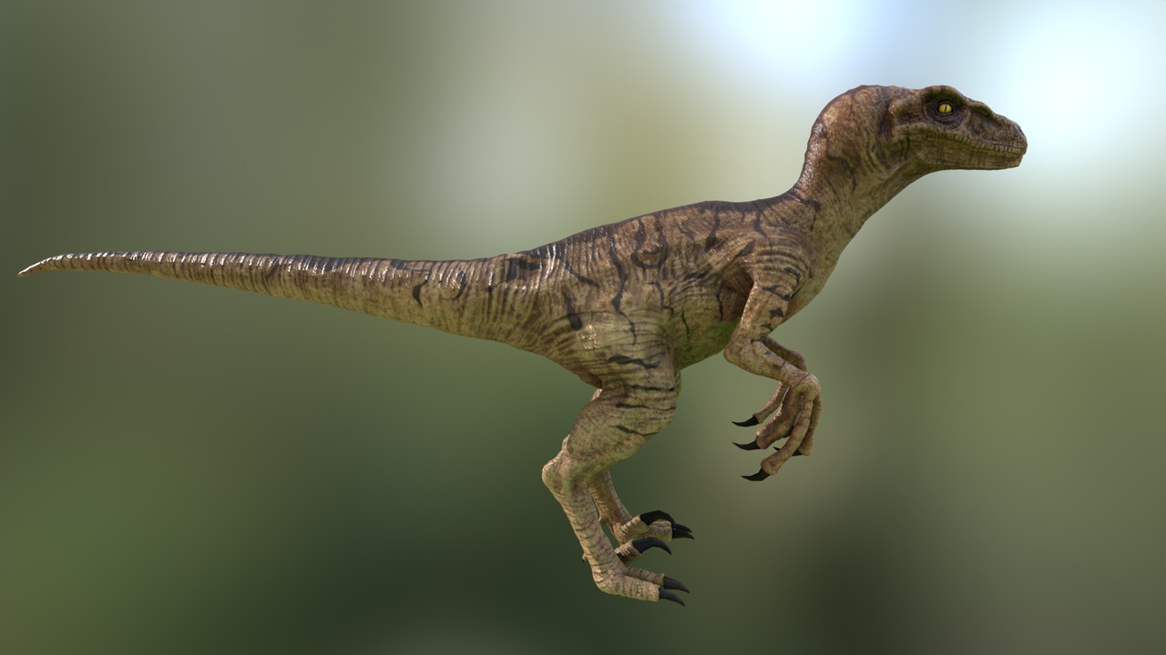 Media 1 for listing Velociraptor