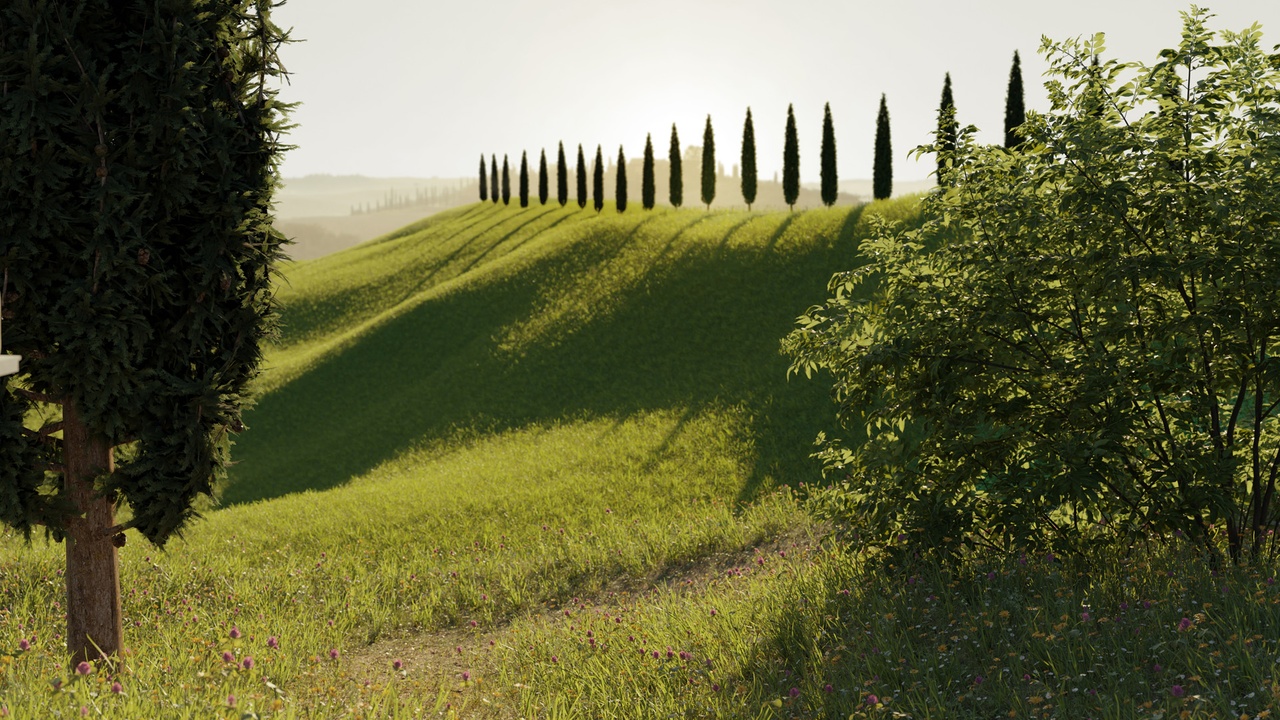 Media 1 for listing Tuscany Cypress Tree Pack