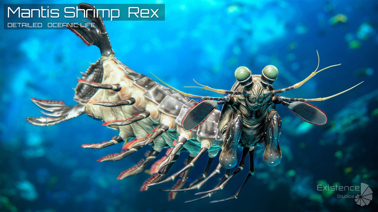 Media 1 for listing Mantis Shrimp Rex - Underwater Monster - Predator Crustacean Creature - #52