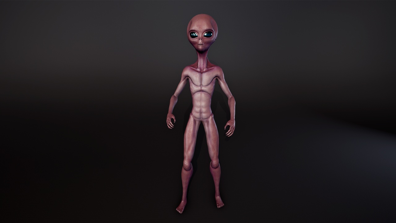 Media 1 for listing Alien01
