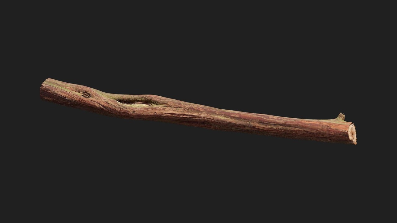 商品 Juniper Branch 的媒体 1