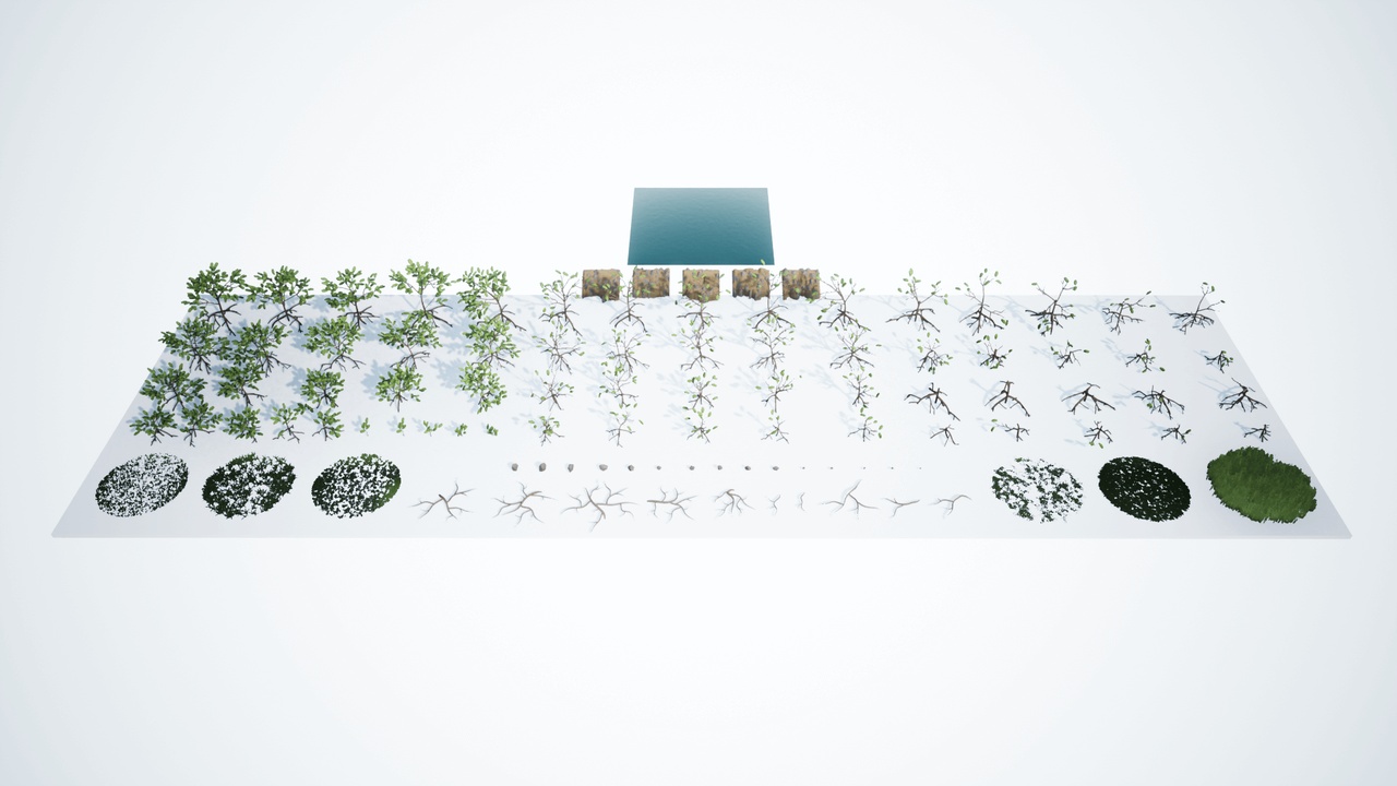 Multimedia 1 para anuncio Low Poly: Mangrove