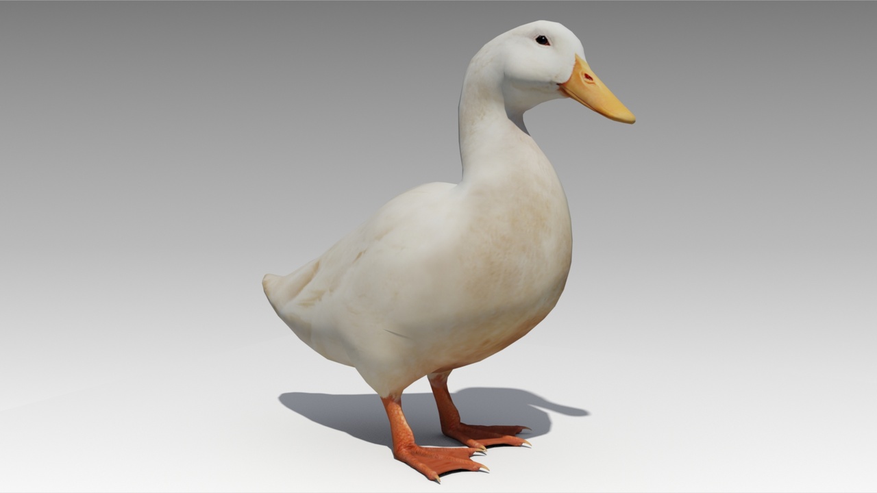 Media 1 for listing Duck Animated