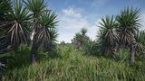 Asset image