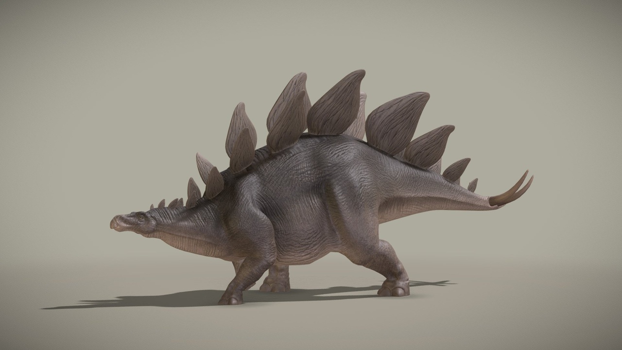 Media 1 for listing Stegosaurus Stenops