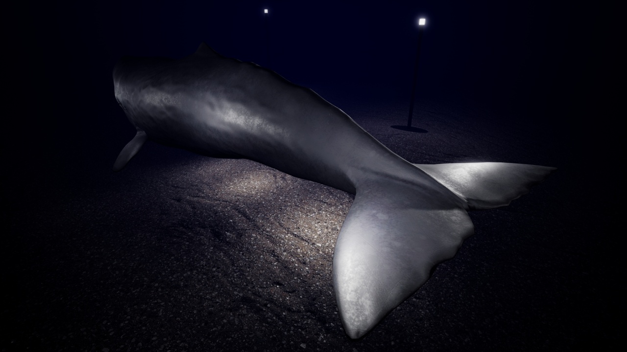 Sperm Whale | Fab