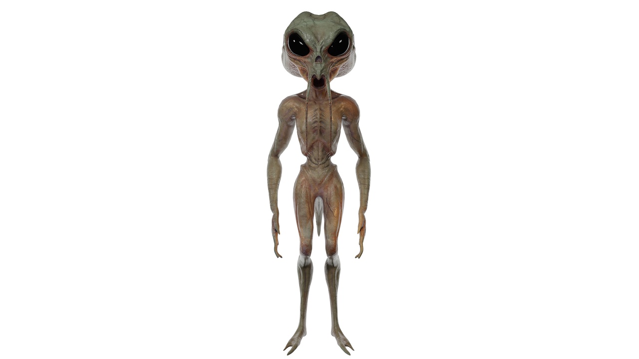 Media 1 for listing Alien Creature – Rigged & Animated Game-Ready Extraterrestrial Character