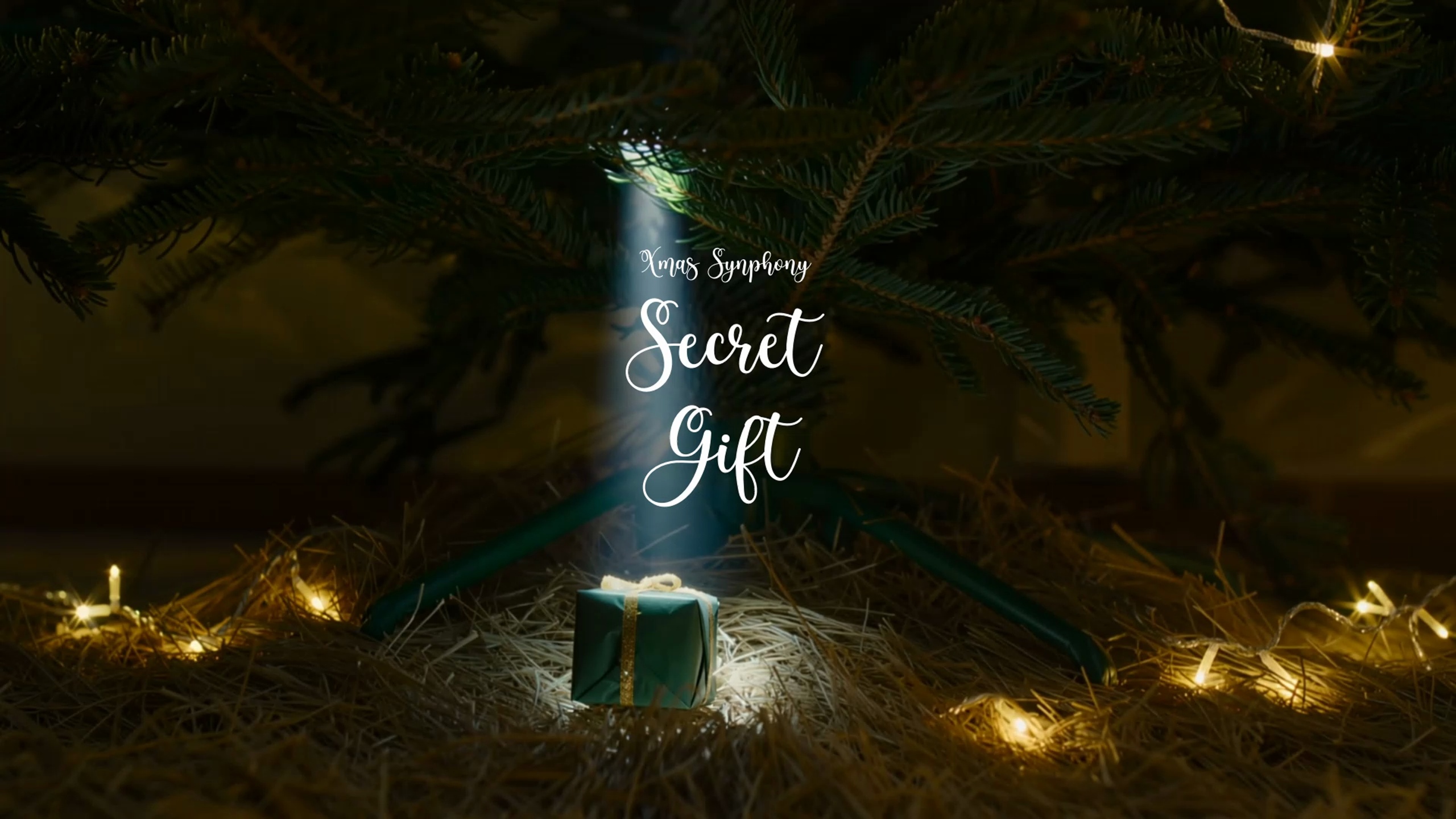 Media 1 for listing Secret Gift / Xmas Synphony