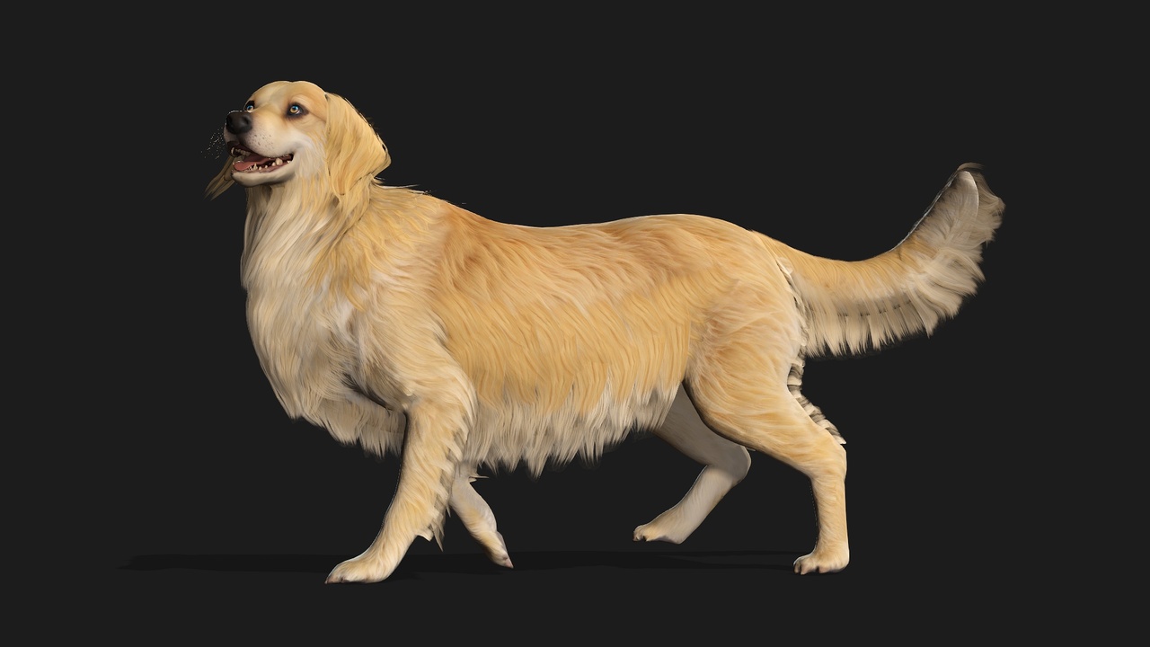 Media 1 for listing Dog_B2