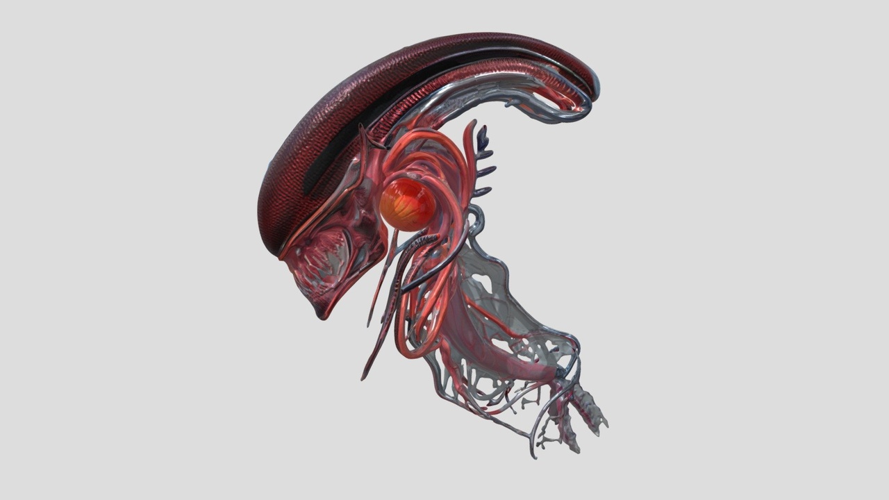Media 1 for listing Xeno Creature 16