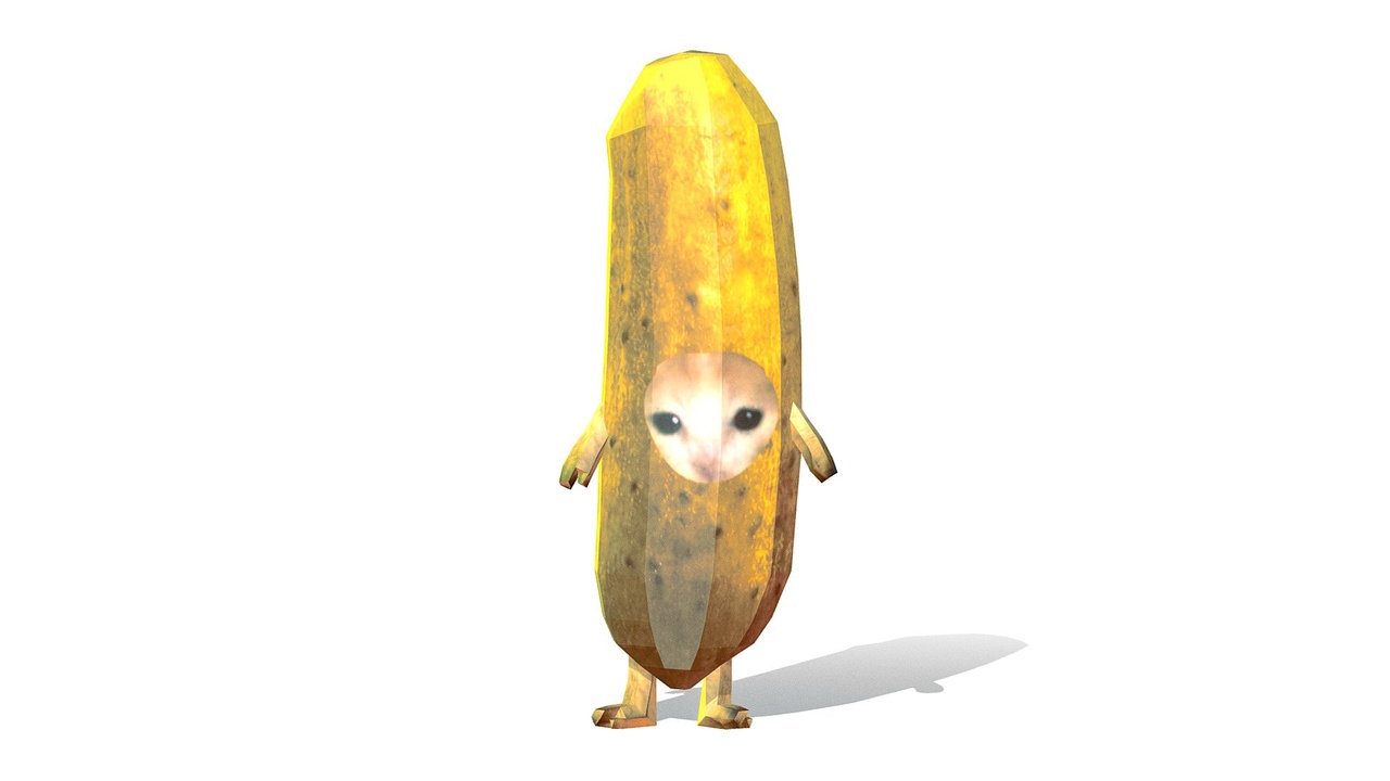 Media 1 for listing Cucumber Cat