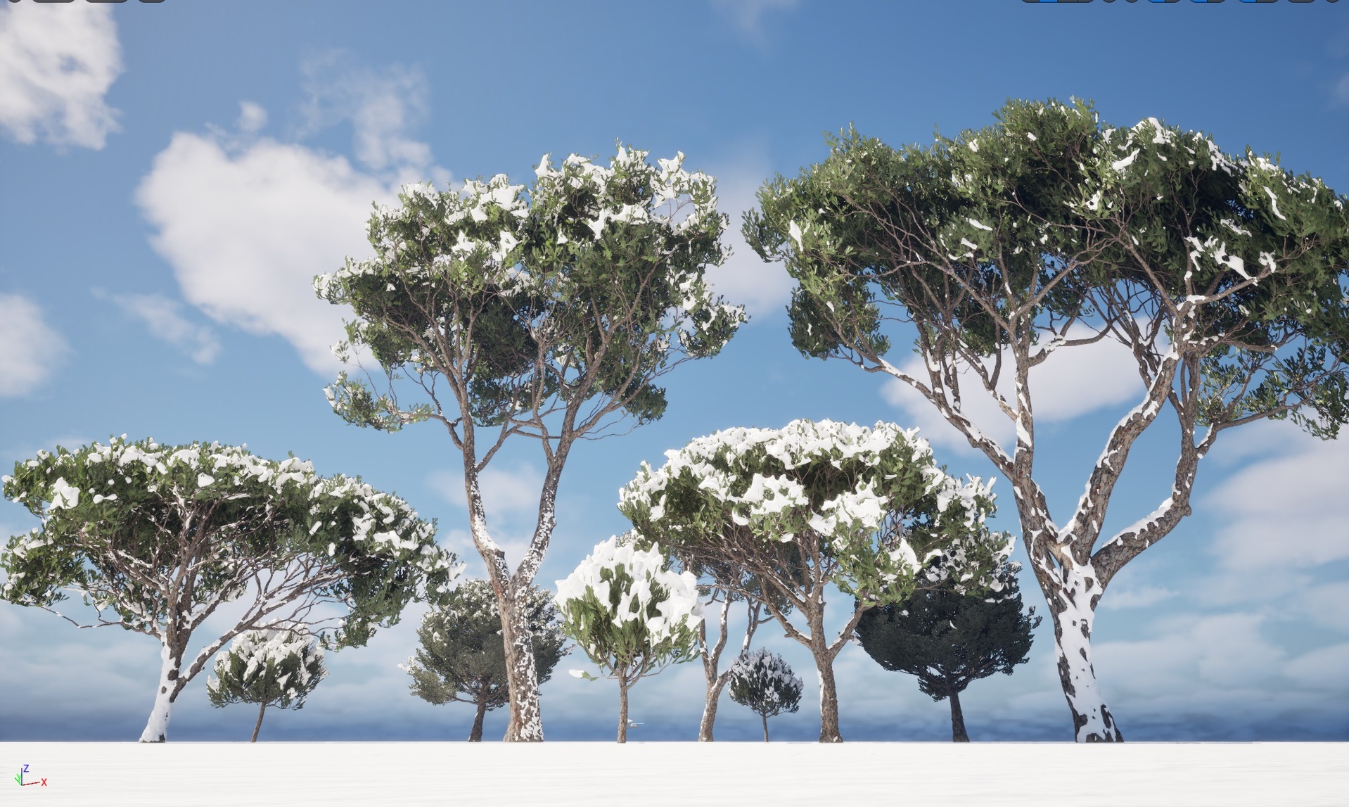 Media 1 for listing Winter Snow Plants - Pinus pinea – Stone pine(Highpoly+Low Poly)