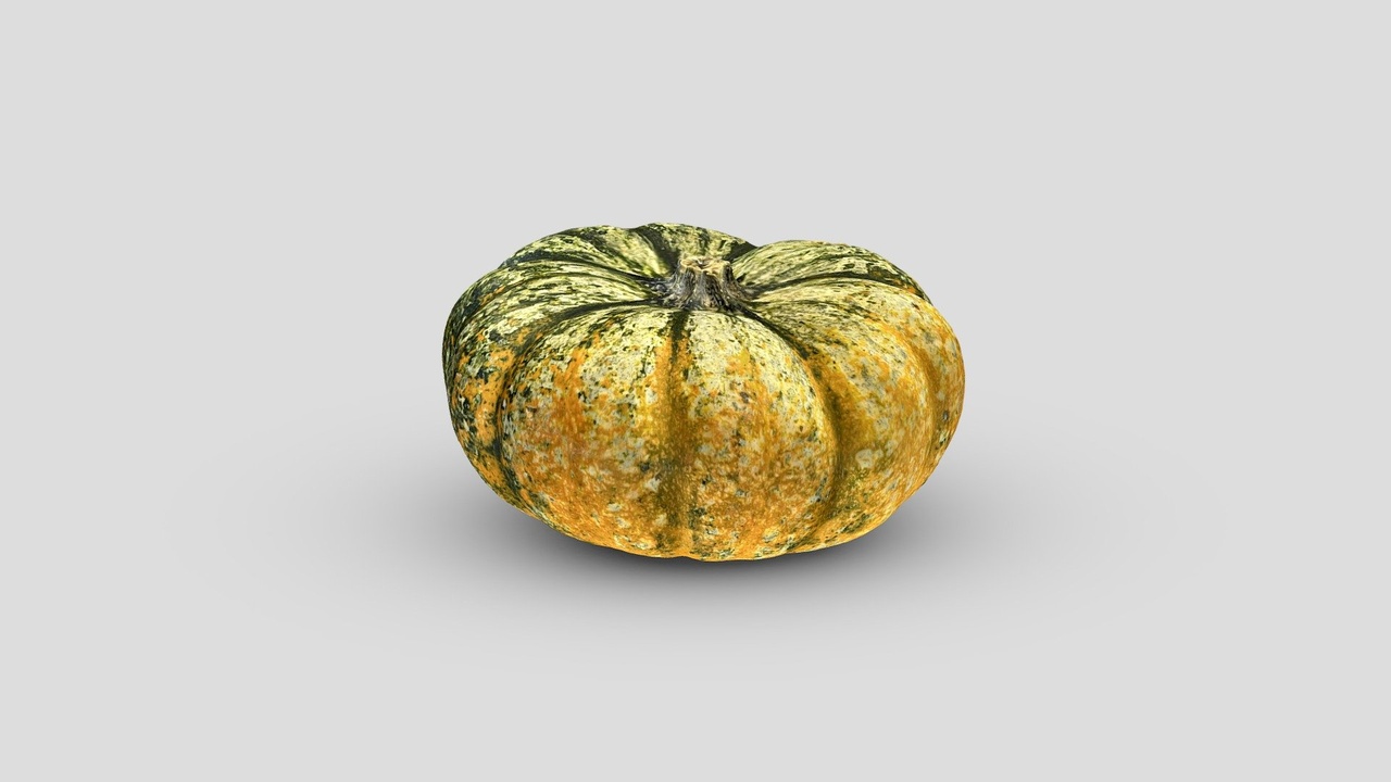 Media 1 for listing Multicolor Tiny Pumpkin