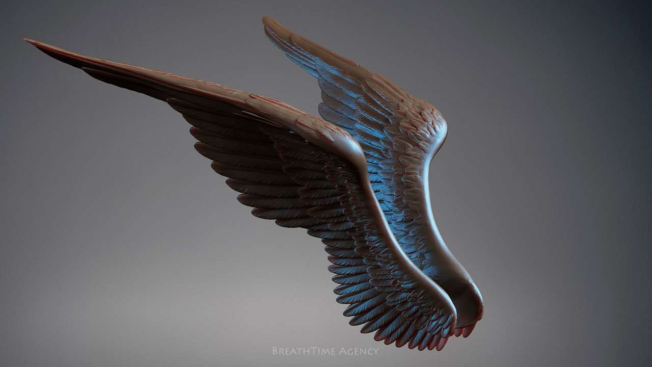 Media 1 for listing Wings - 3  I 3D Sculpting