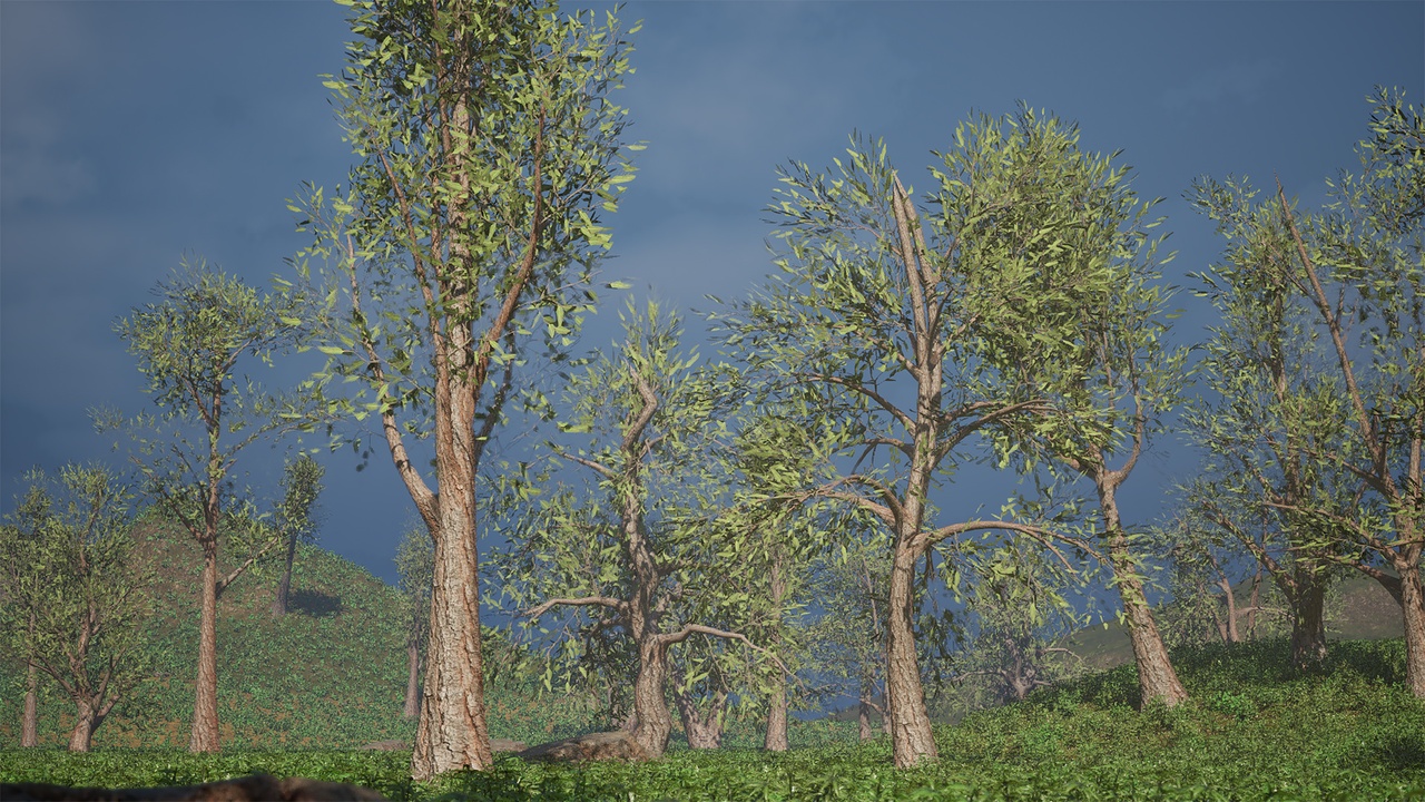 Media 1 for listing Realistic Low Poly Tree Pack 51M