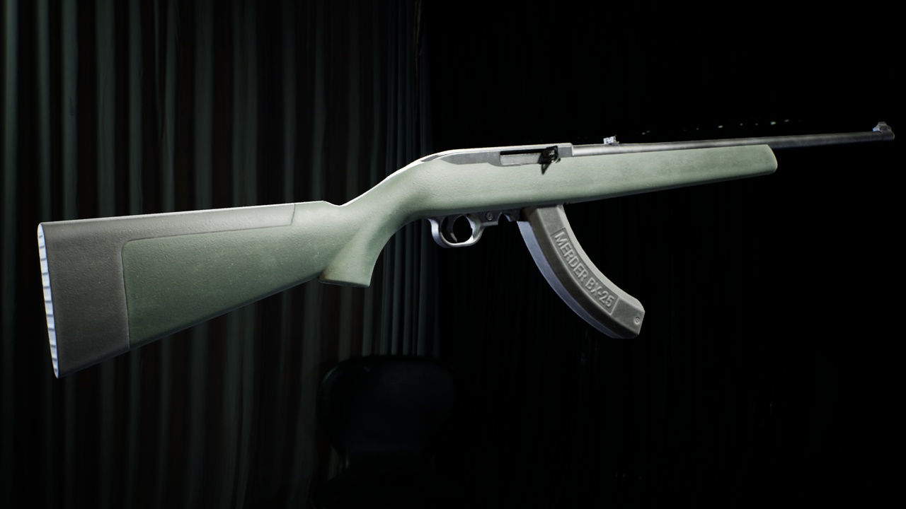 Media 1 for listing 10/22 Sporting Rifle