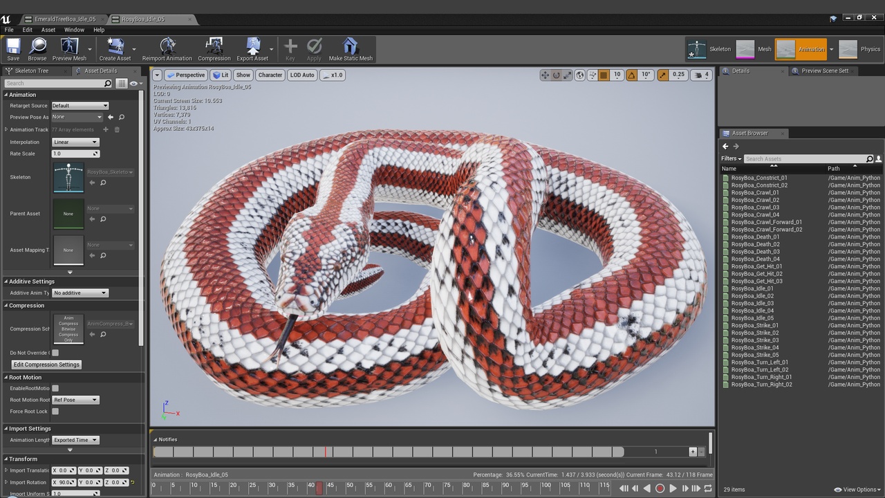 Media 1 for listing Animated Rosy Boa