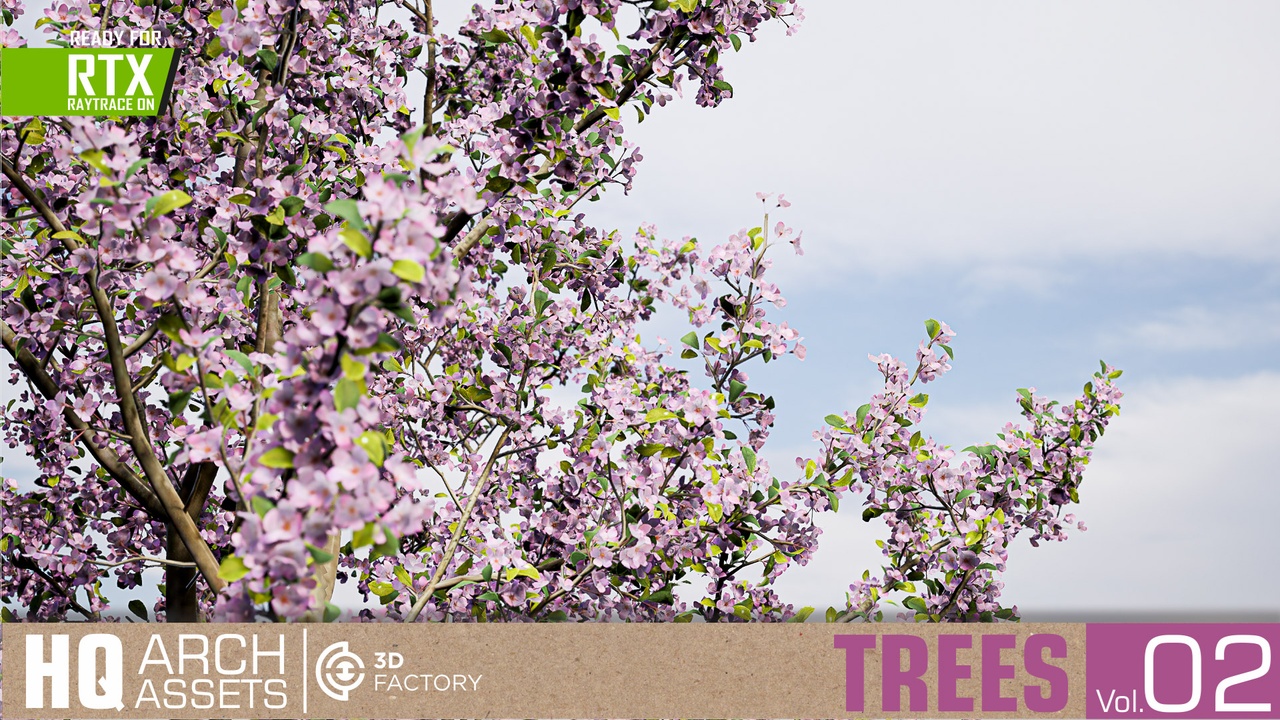 HQ Trees Vol. 2 제품 등록을 위한 미디어 1개