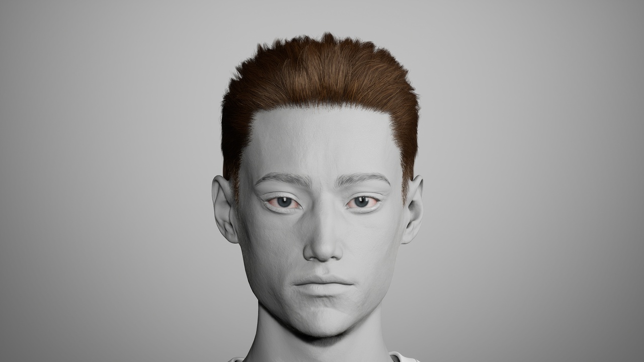 Media 1 for listing MetaHair 240- Groom hair for Metahumans - With low lowpoly version