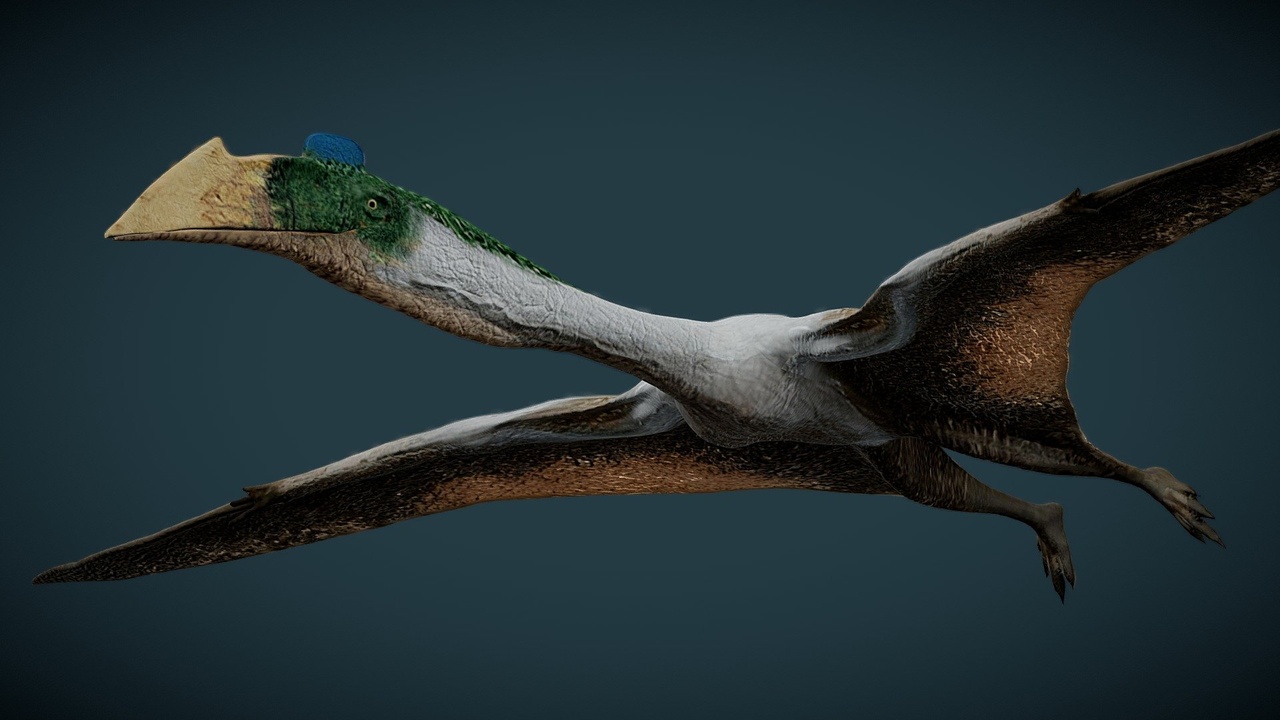 Media 1 for listing Animated Quetzalcuatlus