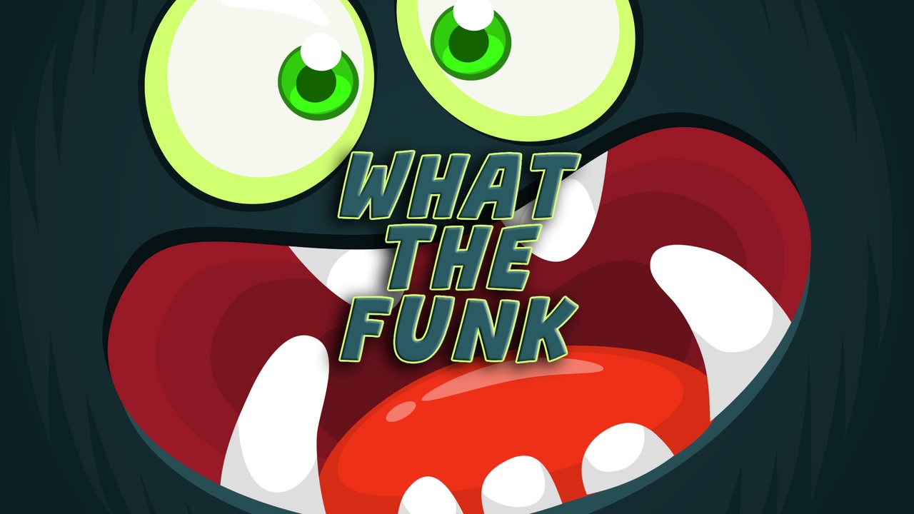 Media 1 for listing What The Funk