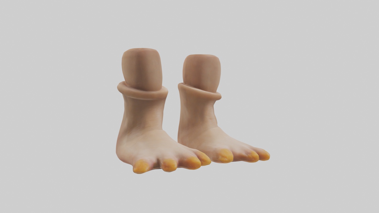 Media 1 for listing Duck Feet Model