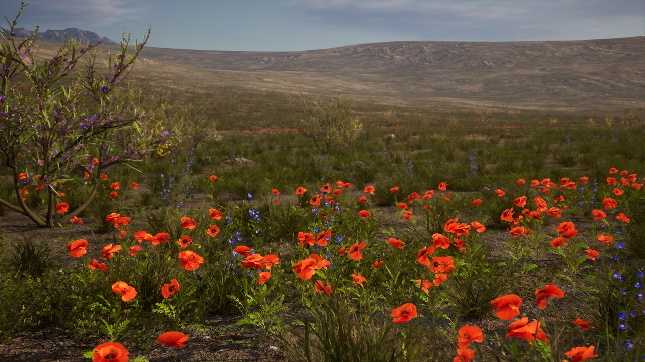 Media 1 for listing Mediterranean landscape