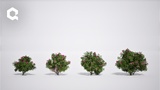 Asset image