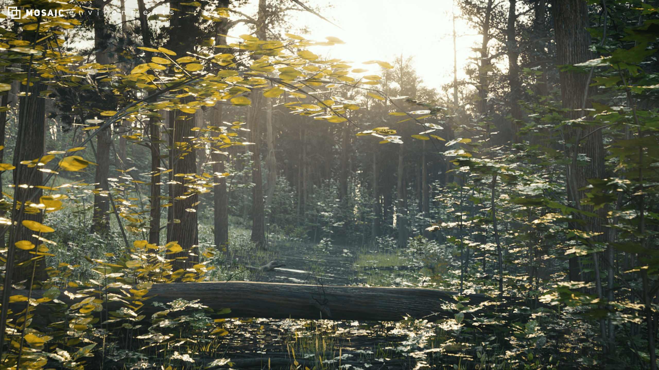 Media 1 for listing Red Pine Forest Builder Asset Pack