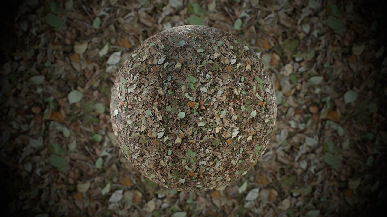 Media 1 for listing Forest Ground Material Pack 4