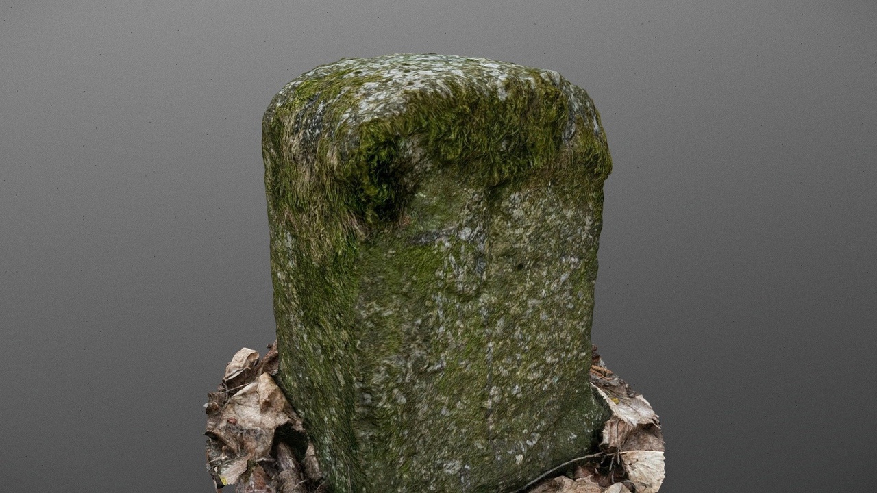 File multimediali per l'articolo Forest border stone: 1