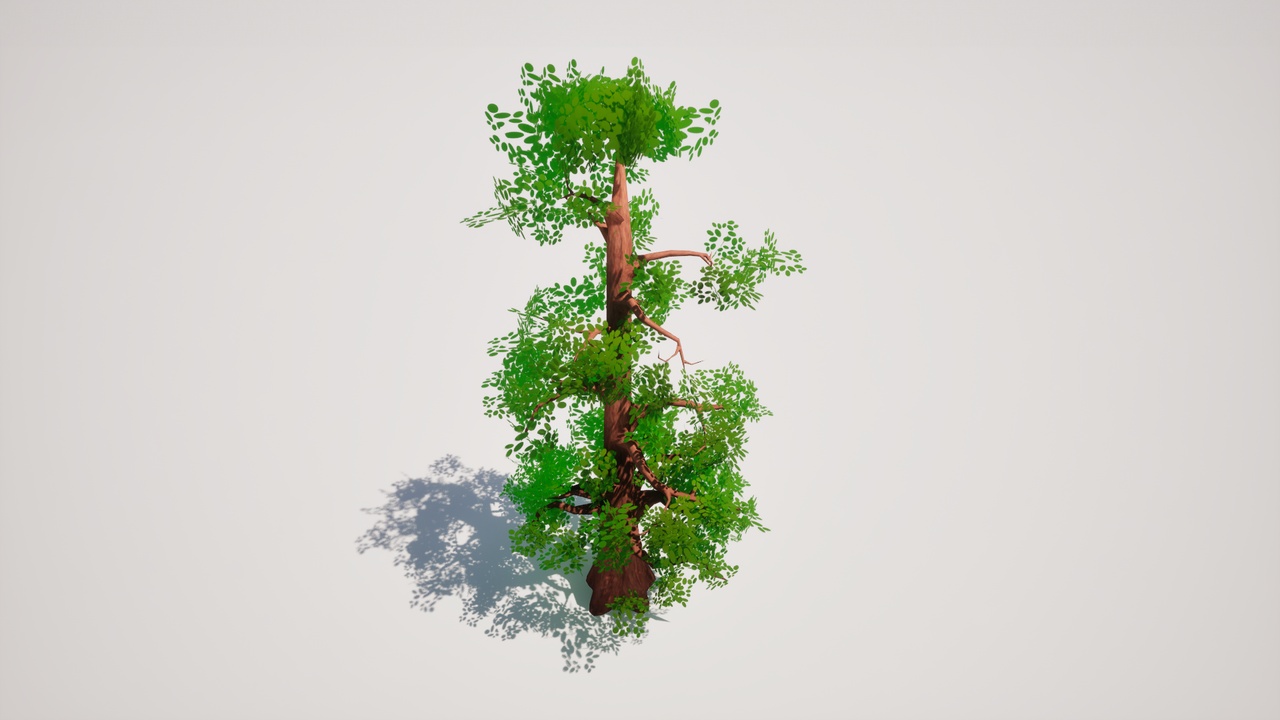 Media 1 for listing Stylized Cedar Tree | Game-Ready UE5 Foliage Asset