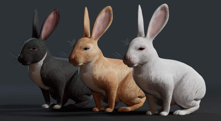 Realistic Rabbit | Fab