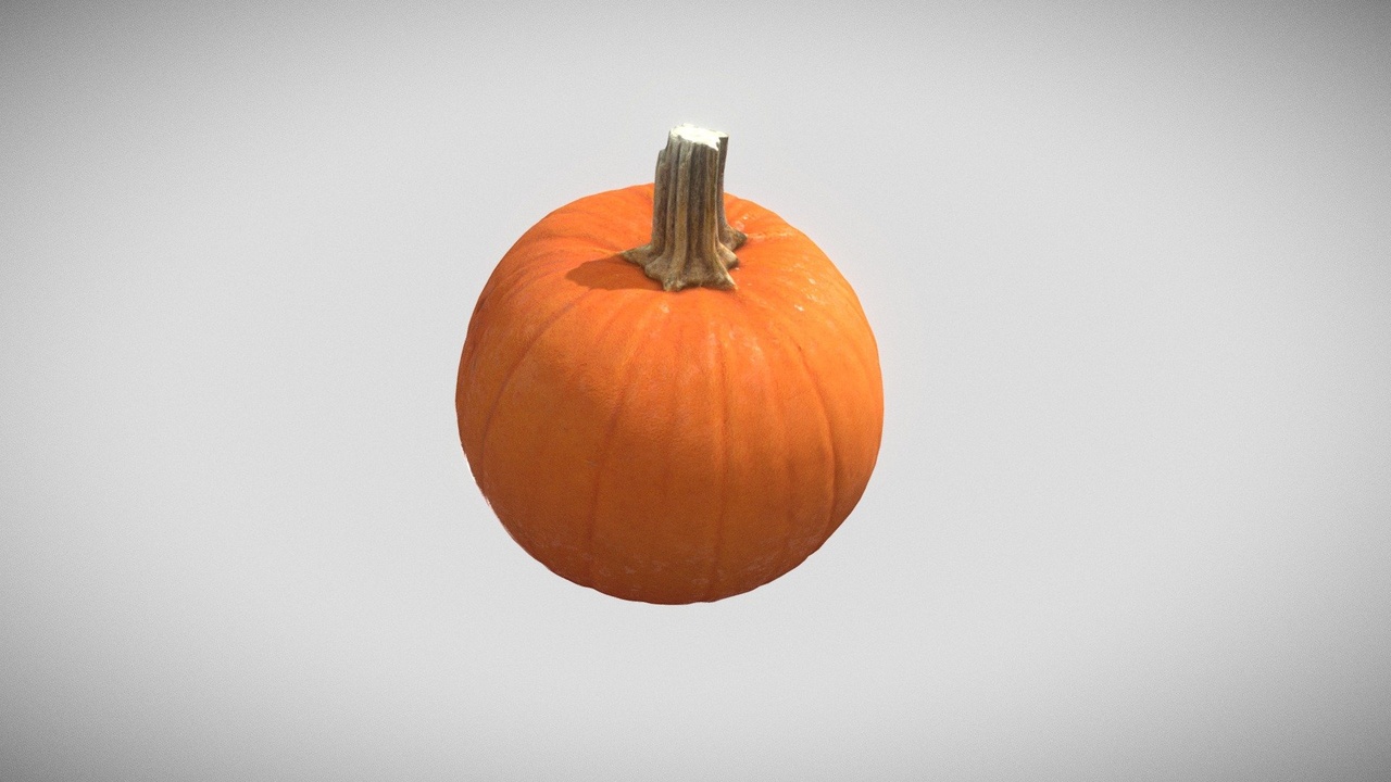 Media 1 for listing Pumpkin