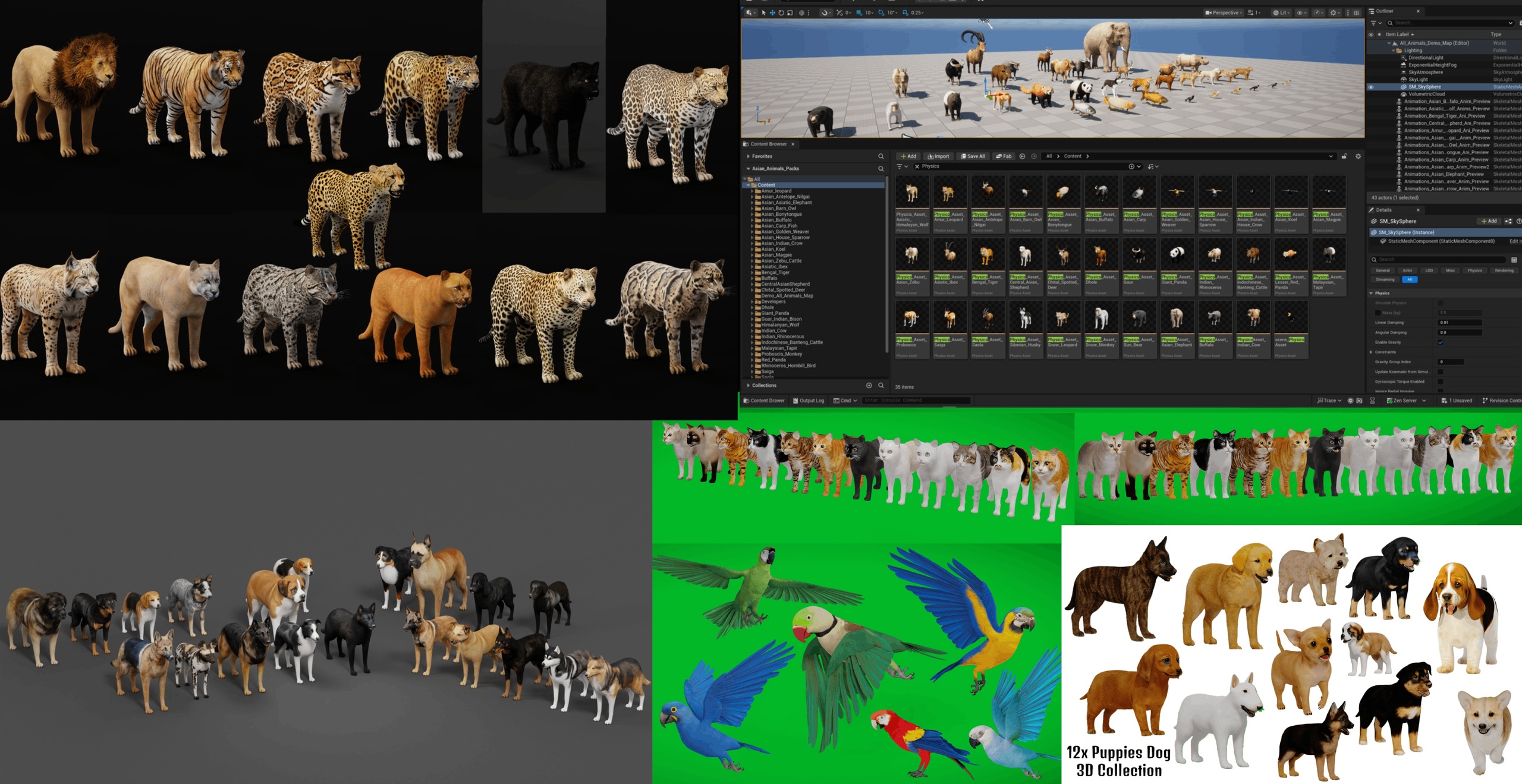 Media 1 for listing Animals 6 Packs Bundle