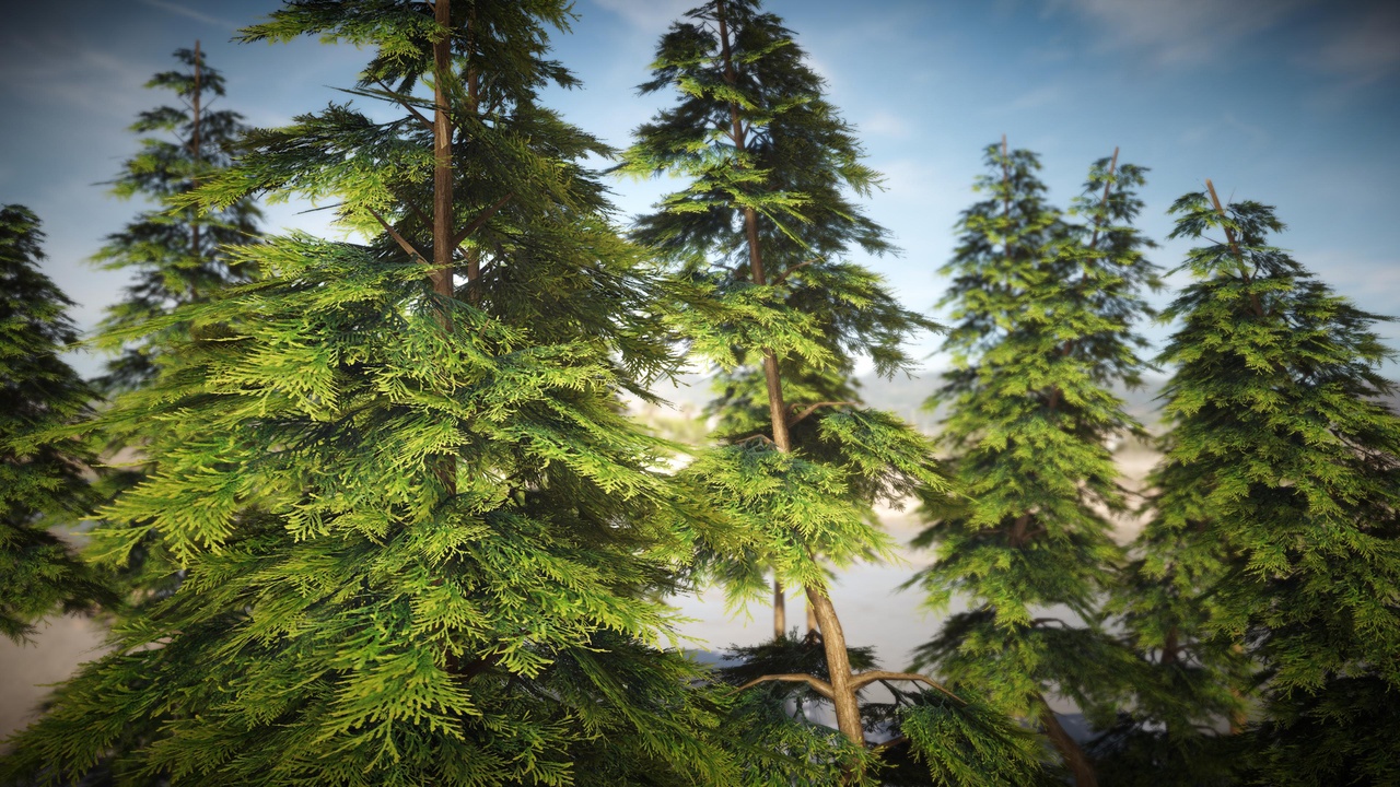 Media 1 for listing Mobile Pine Pack