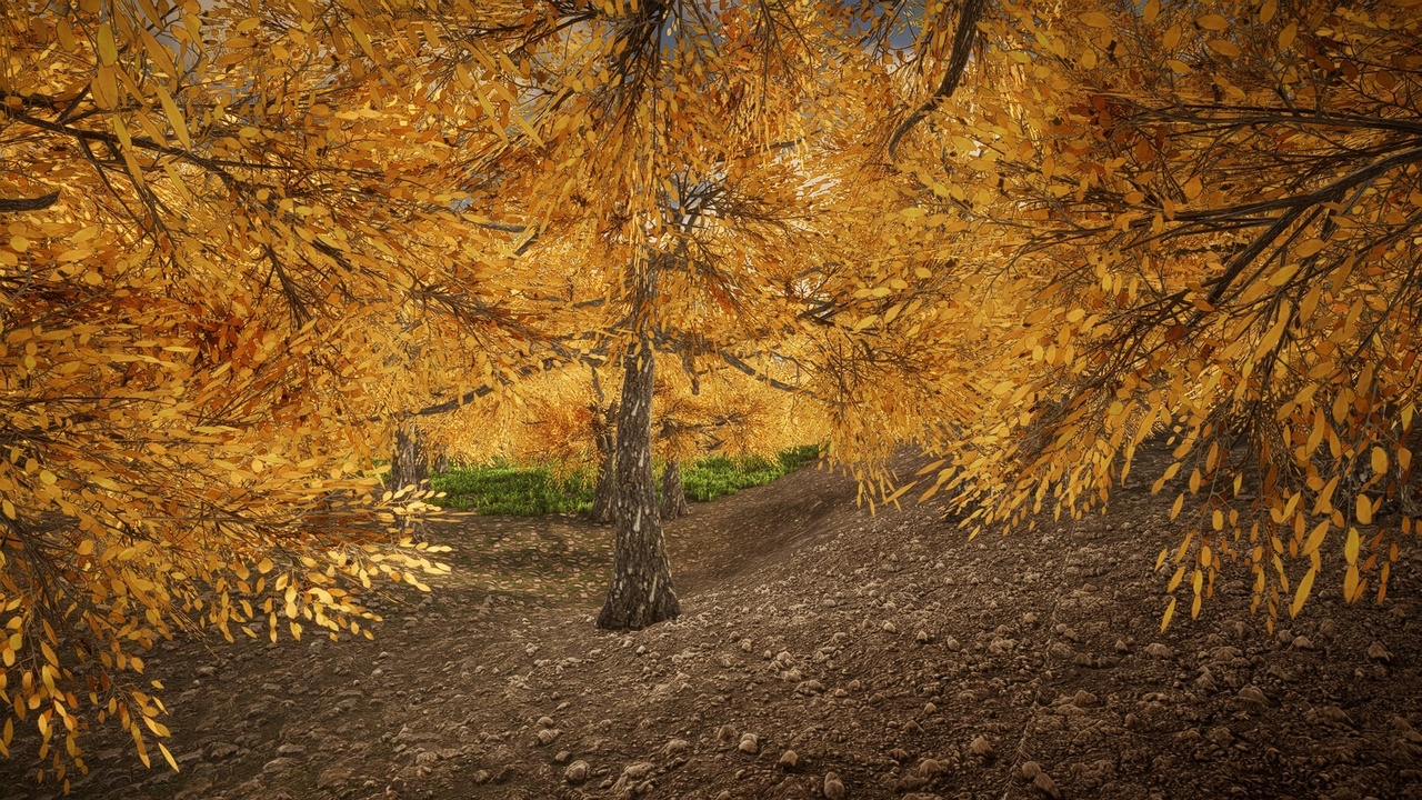 Media 1 for listing HighPoly Tree Pack #10