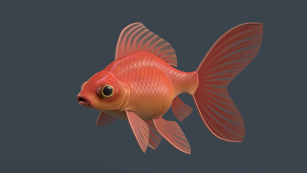 Media 1 for listing Goldfish