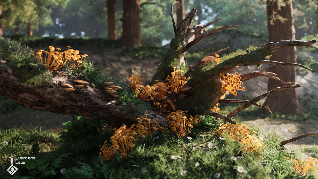 商品 Forest Fungi - Mushroom Pack 的媒体 1