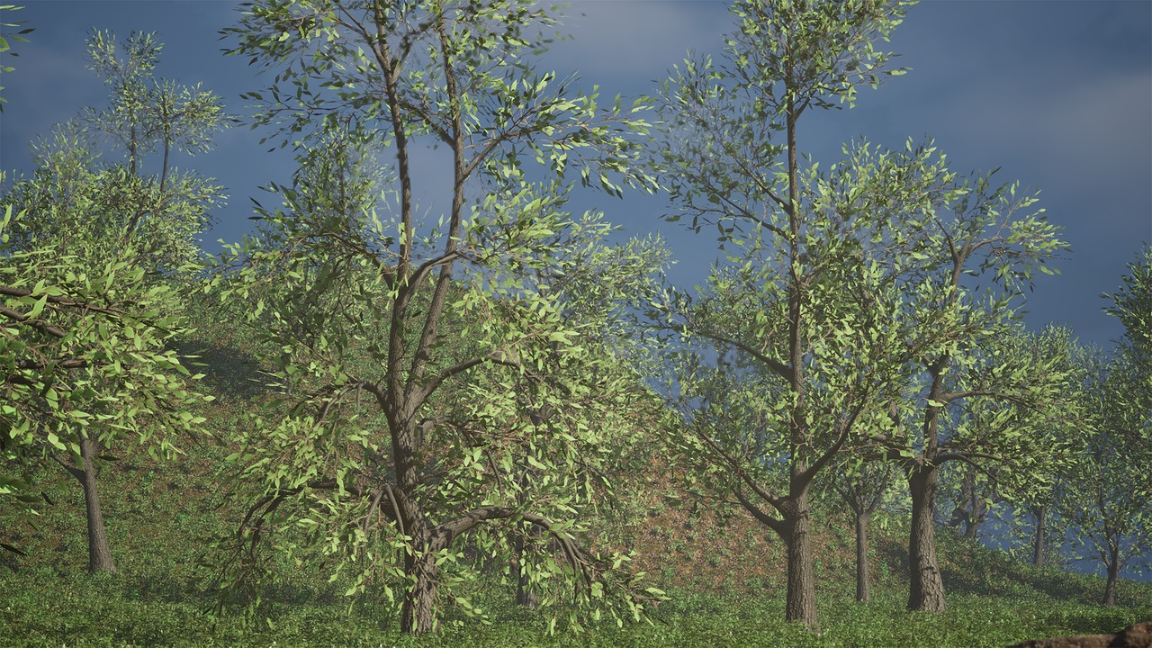 Media 1 for listing Realistic Low Poly Tree Pack 55M